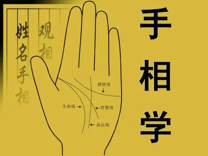 看手相准吗？如何通过手相推测自己的命运
