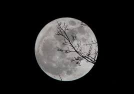 女性英文名字大全，女生简单好听优雅活泼的英文名字