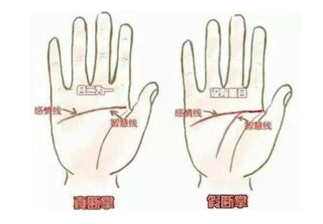 最全解读：断掌是什么意思？断掌的男人和女人到底好不好