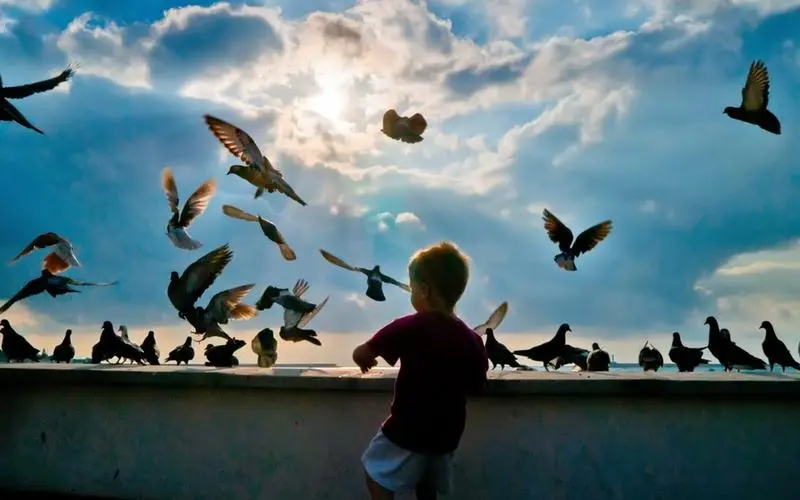 家中男宝宝起名，200个大气磅礴的好名字